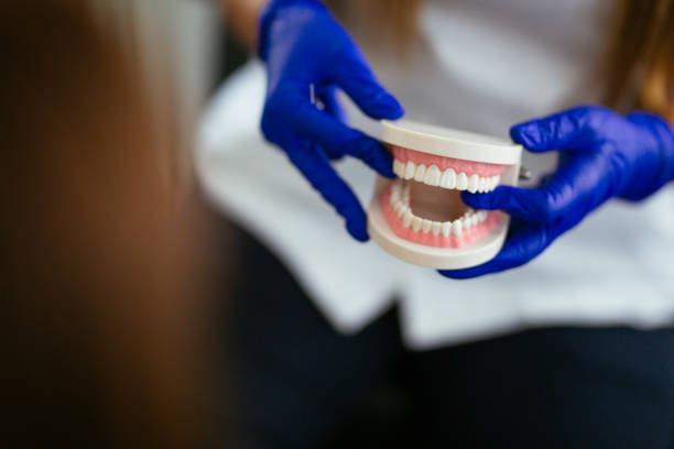 Trusted Ephrata, WA Holistic Dental Care Services Experts